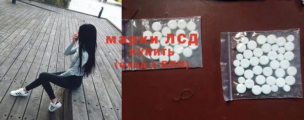 индика Баксан